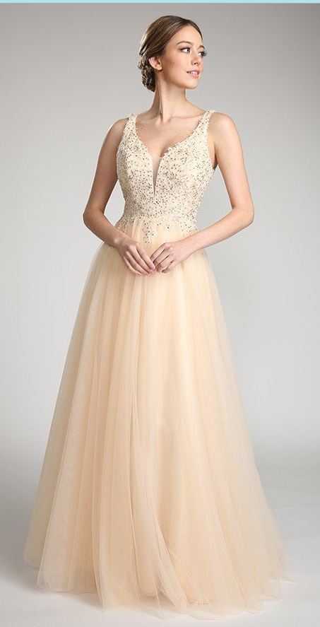 A-line V-neck Open back Tulle trim with Beaded Embroidered Formal Dress