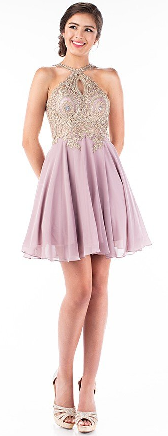 Embroidered Bodice Keyhole Halter Neck Pleated Flare style Low back  Formal Dress