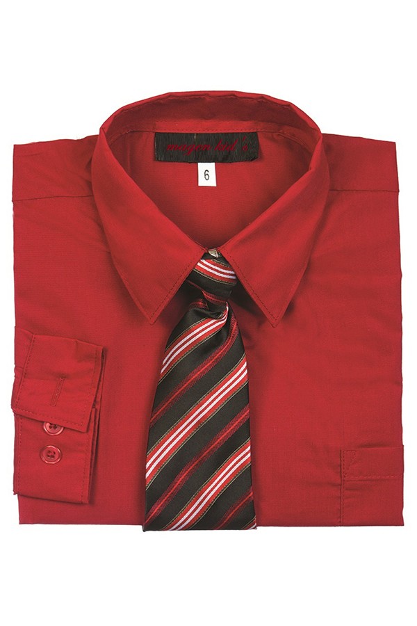 Boys 2 pcs formal dress shirt with pattern tie DS-858-A2